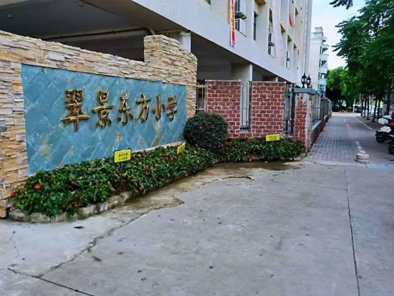 2025年中山市西区翠景东方小学招生简章