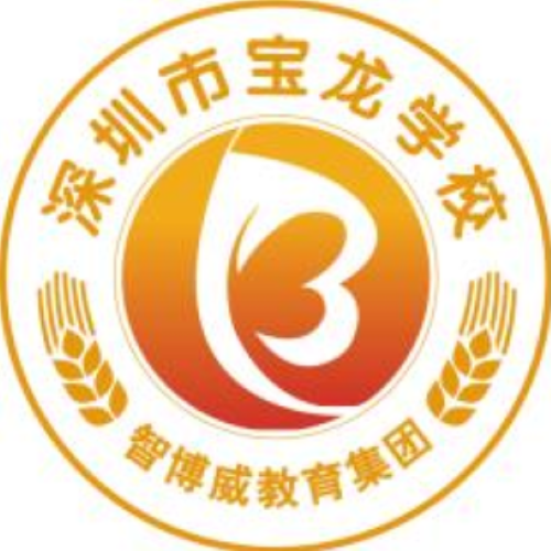 深圳宝龙学校