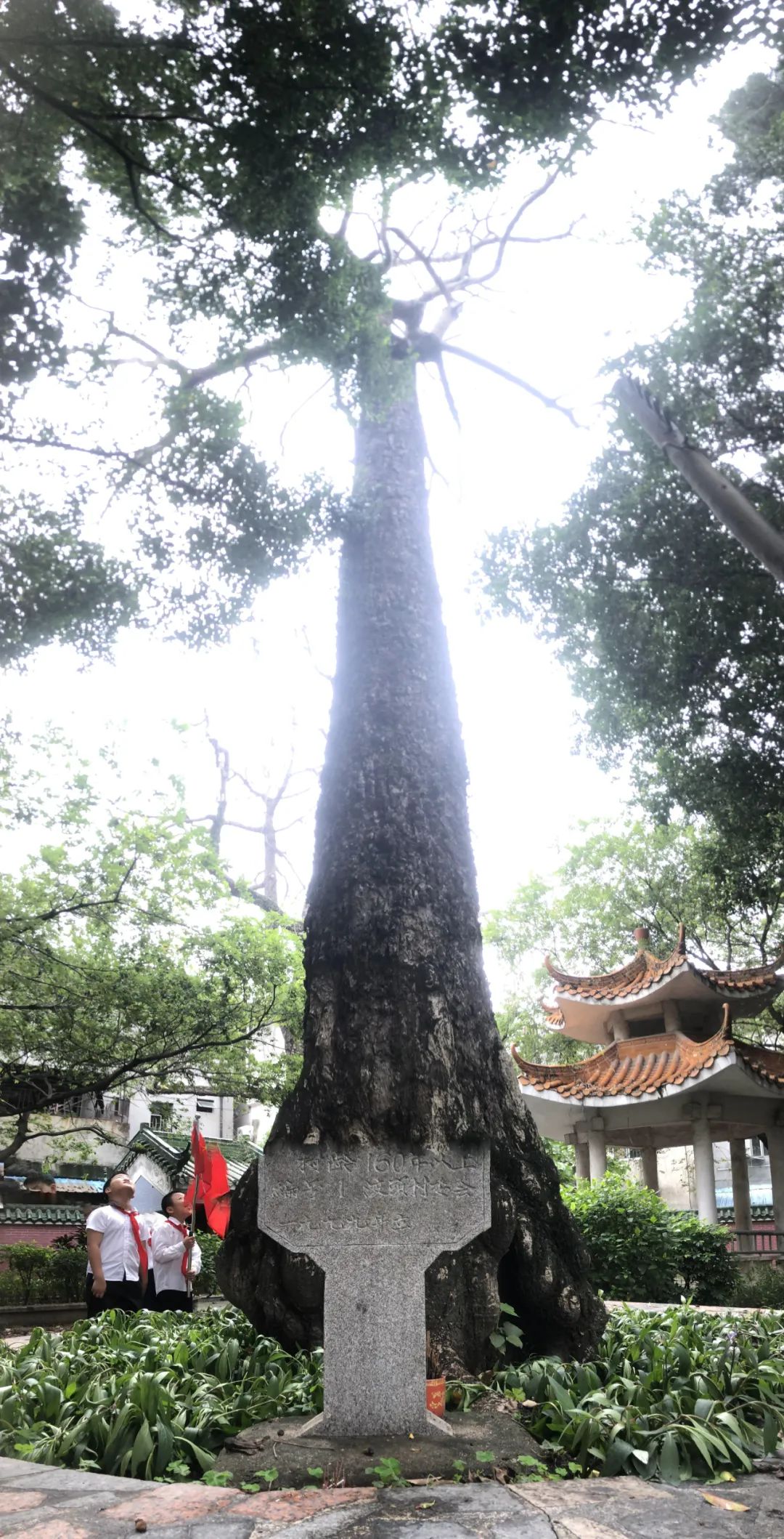 微信图片_20230409165008.jpg