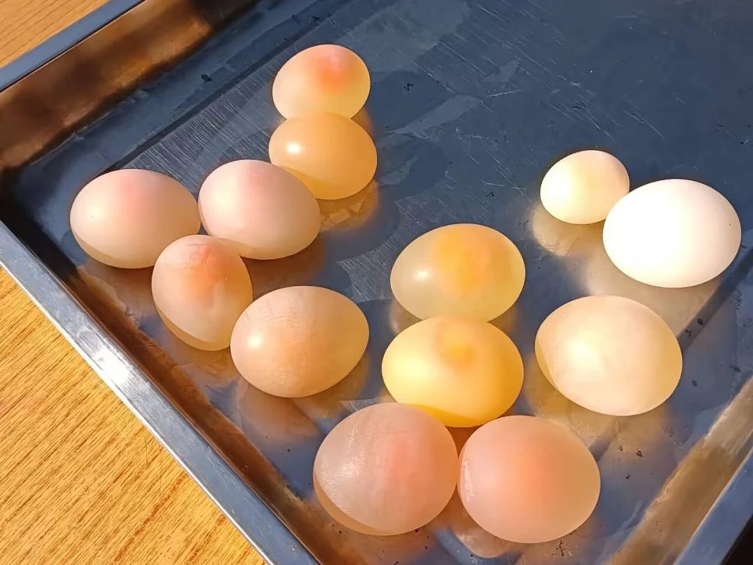 微信图片_20231225191009.jpg 微信图片_20231225191009.jpg