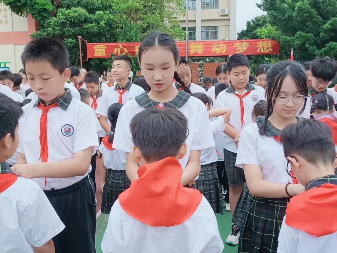 微信图片_20250609094357.jpg